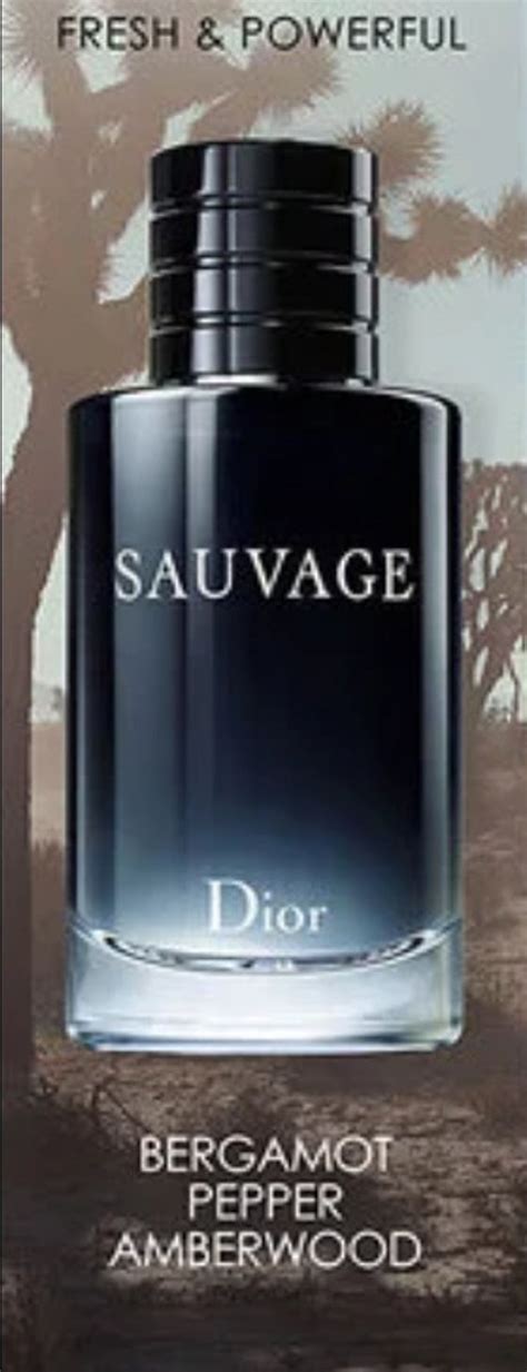 new brand dior sauvage clone|dior sauvage replica.